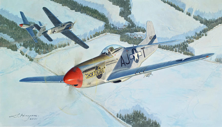 Aerial superiority Painting by Steven Heyen