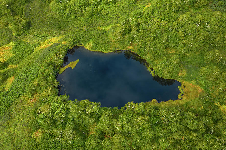Aerial top view of blue lake in north forest Photograph by Mikhail Kokhanchikov