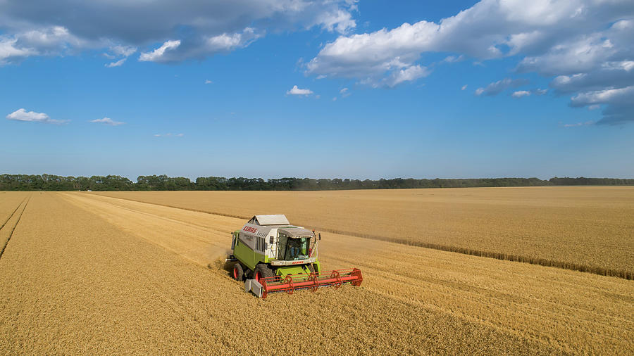 Aerial View Combine, Harvesting On Wheat Field, Cloudy Sky Photograph