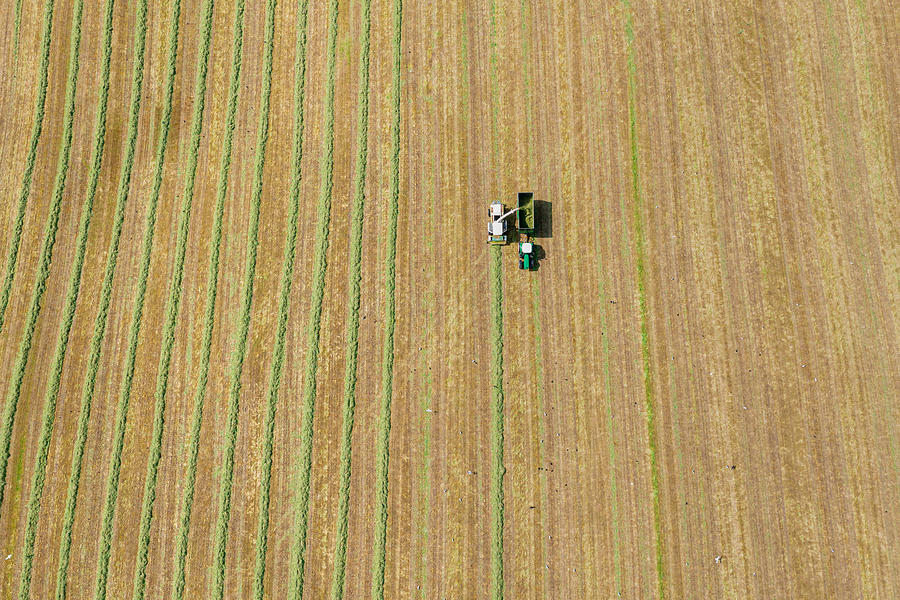 Aerial view of a harvester collecting cut grass Photograph by JohnFScott