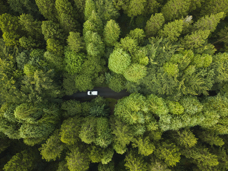 Aerial view of a pine forest with a white van driving through a pathway, Roscommon, Ireland Photograph by Levers2007