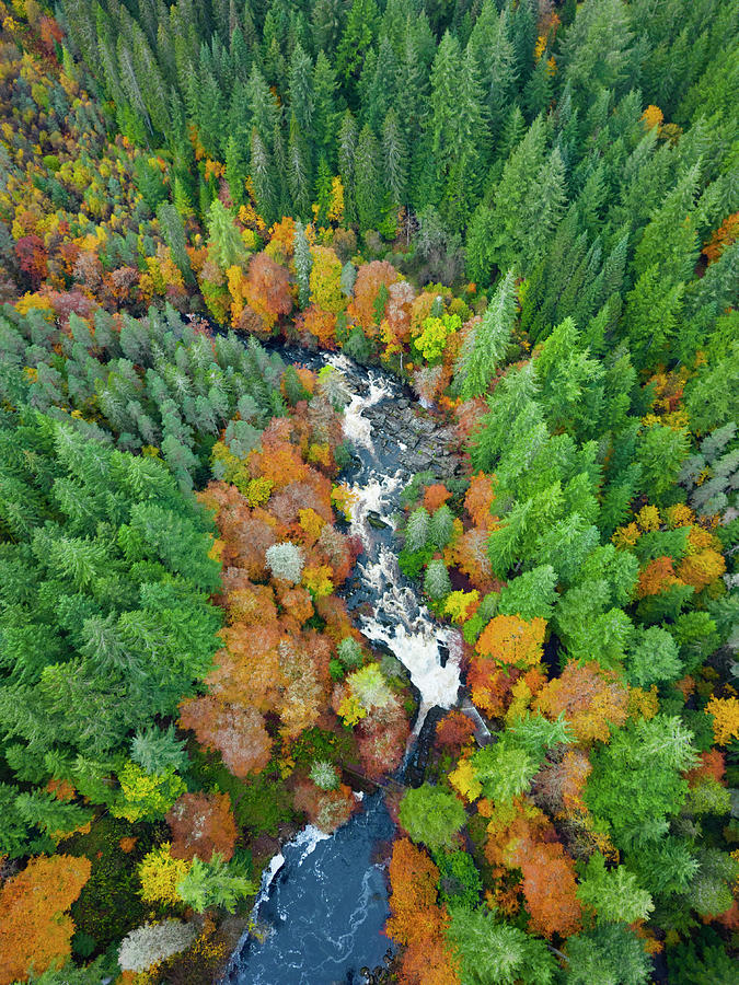 Aerial view of autumn colours surrounding Falls of Braan on River Braan ...