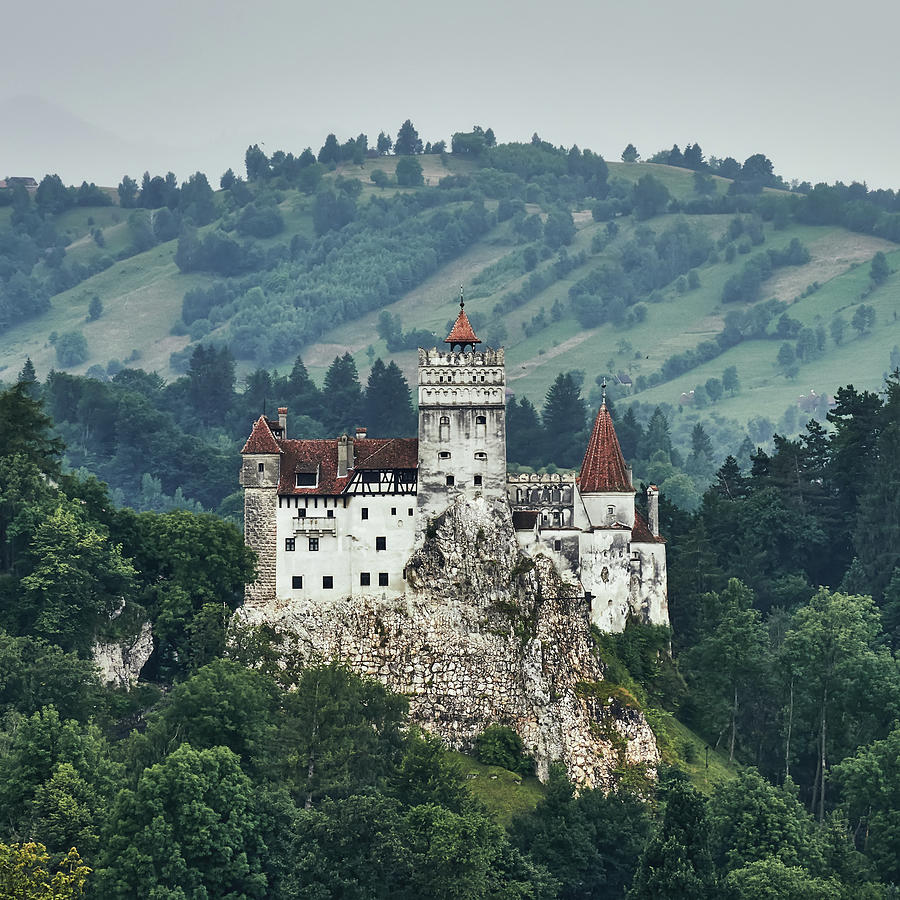 Aerial view of Bran castle in Romania, Europe Photograph by Maria Elena ...