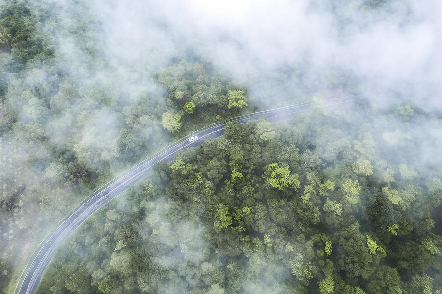 Aerial view of curved country road with green summer fog forest at Morning in Thailand. Photograph by Ratnakorn Piyasirisorost