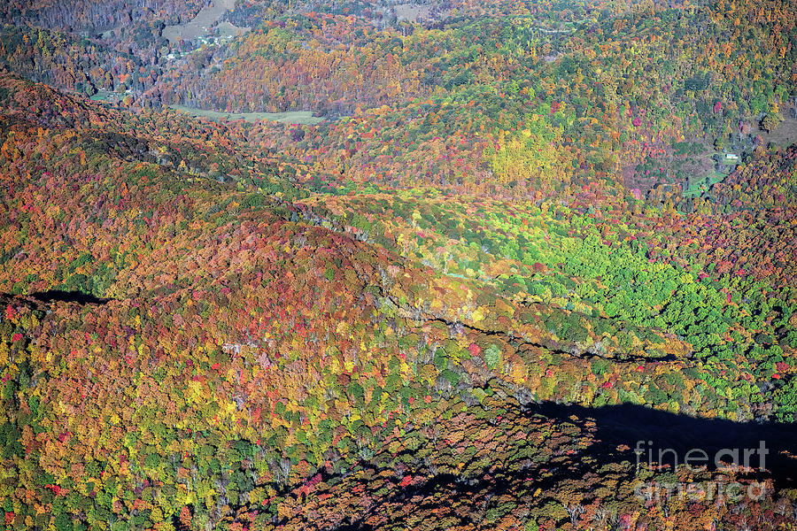 Aerial View of Fall Colors in the Cruso Community of Reed Cove i Photograph by David Oppenheimer