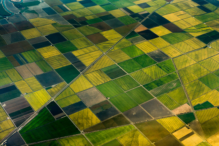 Aerial view of green fields Photograph by Nicolo Sertorio