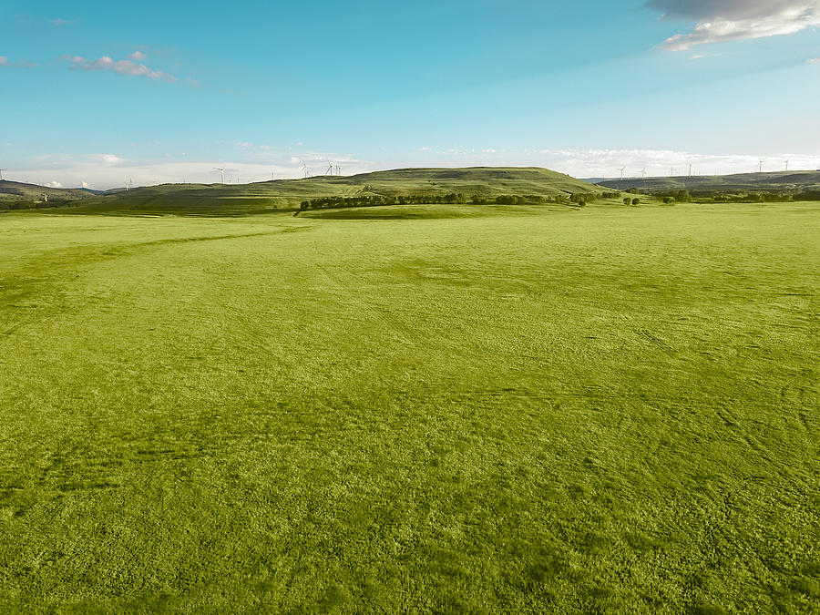 Aerial view of Green meadow under the clear sky Photograph by Xuanyu Han