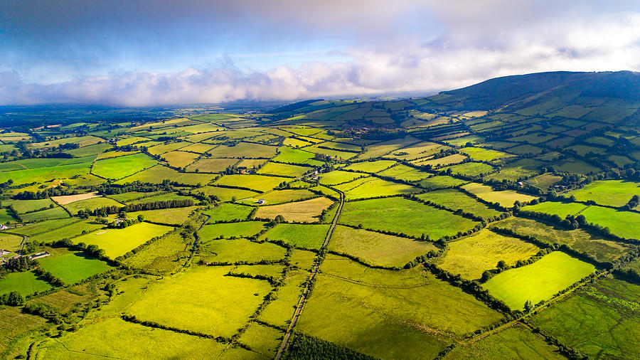 Aerial view of Irish rural scene on sunny summer day in Tipperary fields. Photograph by Mikroman6