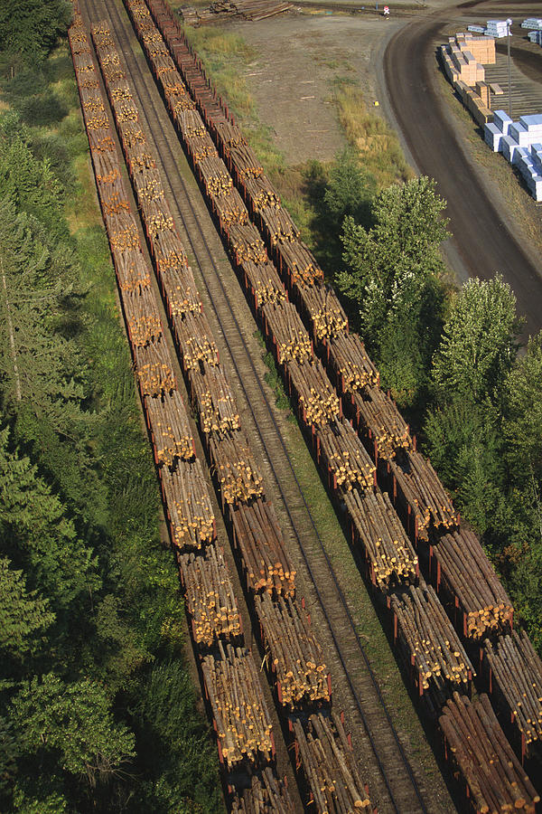 Aerial view of logs on freight train Photograph by Comstock Images
