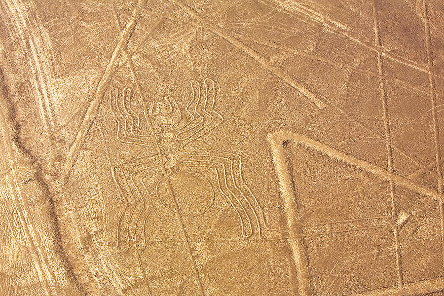 Aerial view of Nazca lines representing a spider, Nazca, Peru Photograph by Glowimages