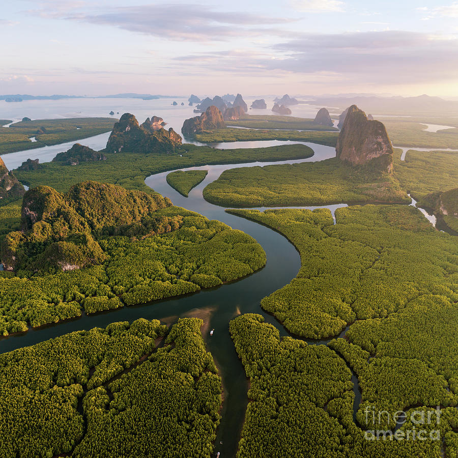 Aerial view of river through mangrove forest at sunset Photograph by Matteo Colombo
