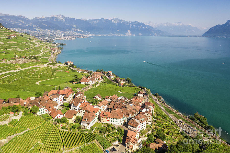 Aerial view of the famous Lavaux vineyard in Switzerland Photograph by Didier Marti
