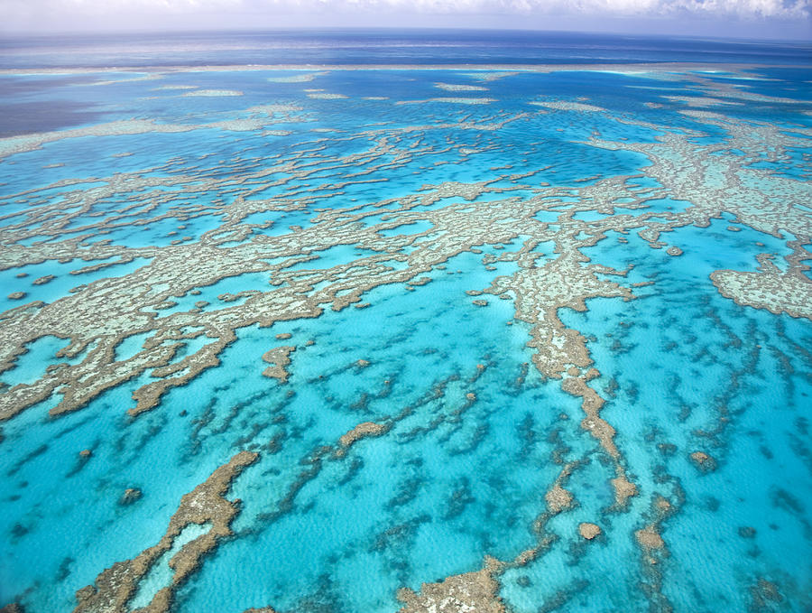 Aerial view of the Great Barrier Reef with blue sea Photograph by Mevans