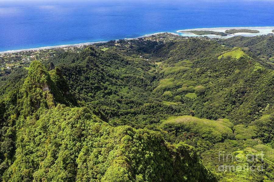 Aerial view of the jungle covered mountain in the interior of th Photograph by Didier Marti