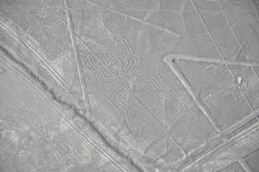 Aerial view of the Spider Nazca Lines Photograph by Markus Daniel