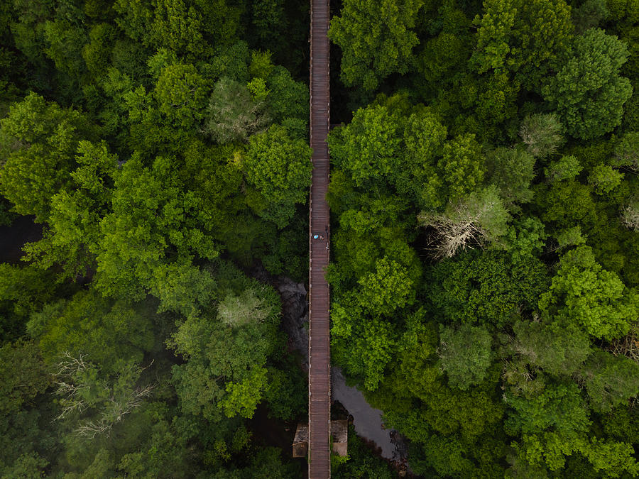 Aerial View of the Virginia Creeper Trail Photograph by Eifel Kreutz