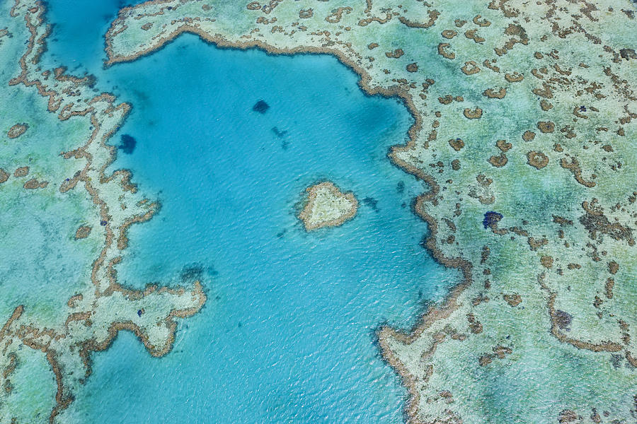 Aerial view of turquoise reef in the Pacific Ocean. Photograph by Mint Images