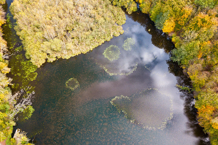 Aerial view of water lilies forming geometric shapes in the middle of the Étang de Commelles Photograph by Gwengoat