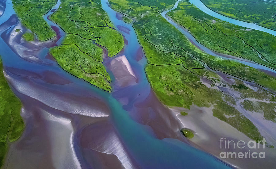 Aerial Wetlands Estuary Abstract Photograph