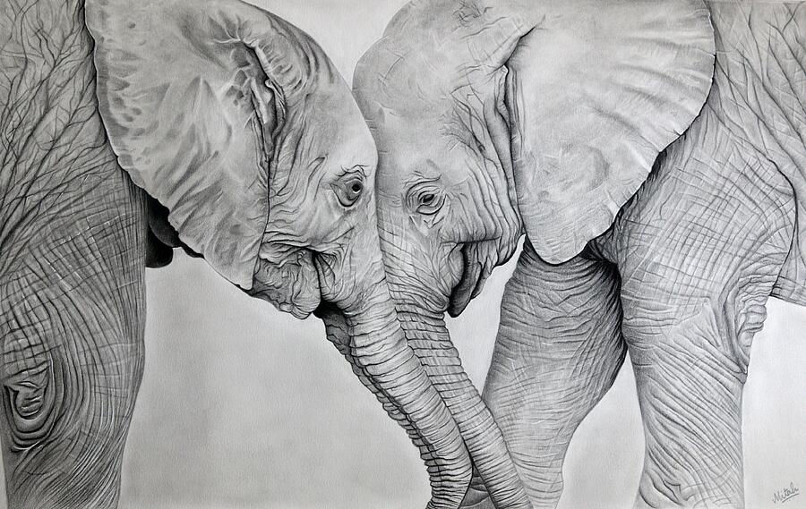 Affection Drawing by Mitali Sule - Fine Art America