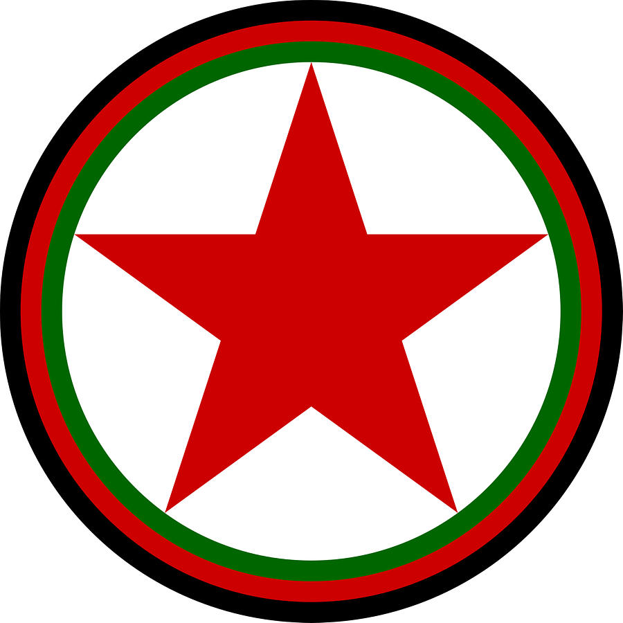 Afghan Air Force Roundel 1983-1992 Digital Art by A Z | Pixels