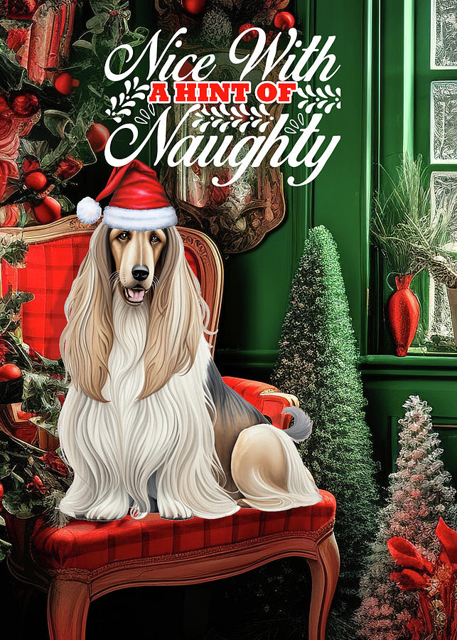 Afghan Hound Christmas Dog Home Digital Art by Doreen Erhardt