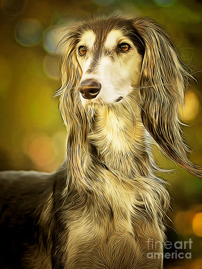 Afghan Hound Dog in Traditional Painterly Golden Light 20210131 Photograph by Wingsdomain Art and Photography