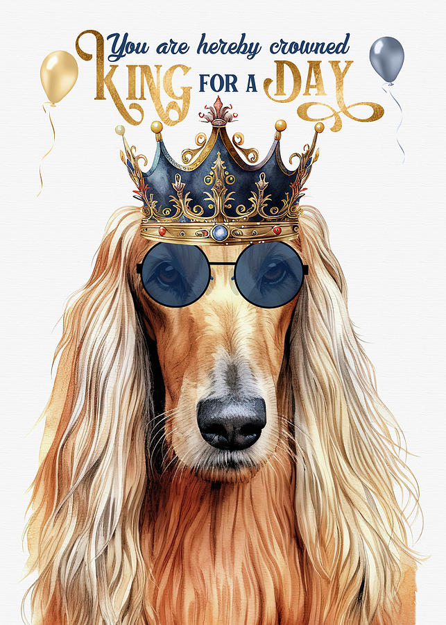 Afghan Hound Funny Birthday Dog King Digital Art by Doreen Erhardt