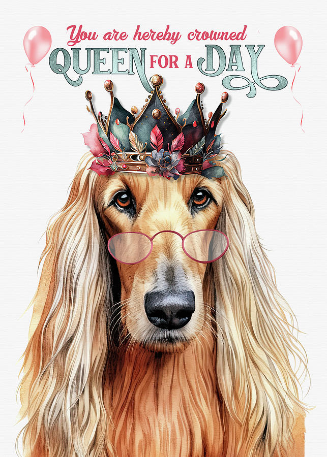 Afghan Hound Funny Birthday Dog Queen Digital Art by Doreen Erhardt