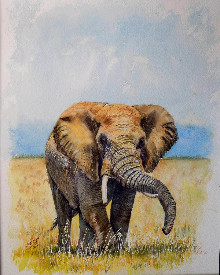 Afraican Elephant in the Grasslands Painting by Paula Bridges - Fine ...