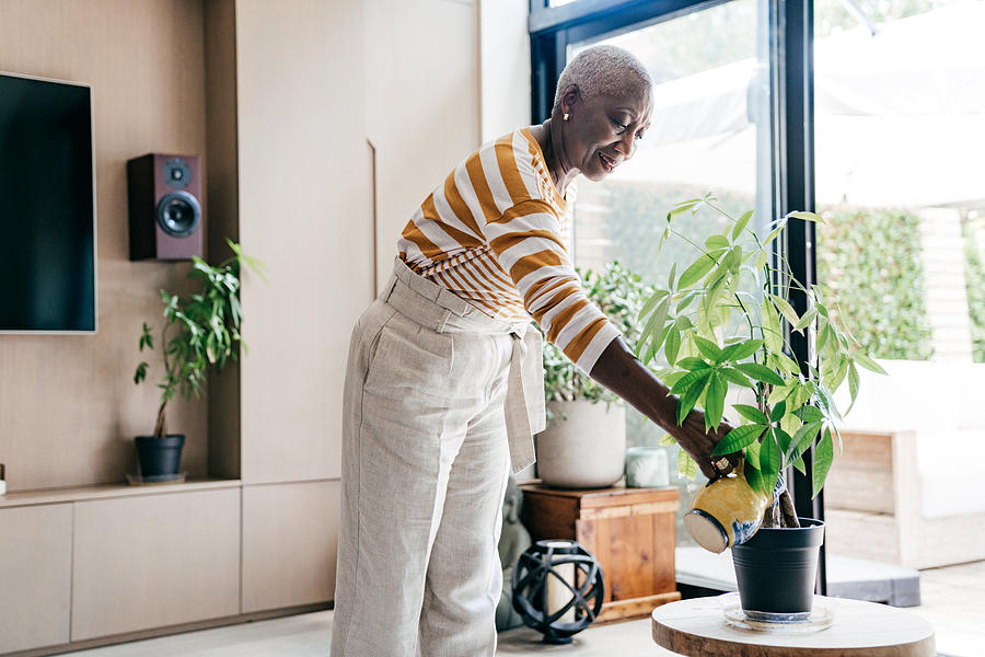 African American beautiful Senior women in her living room watering the plant Photograph by Kate_sept2004