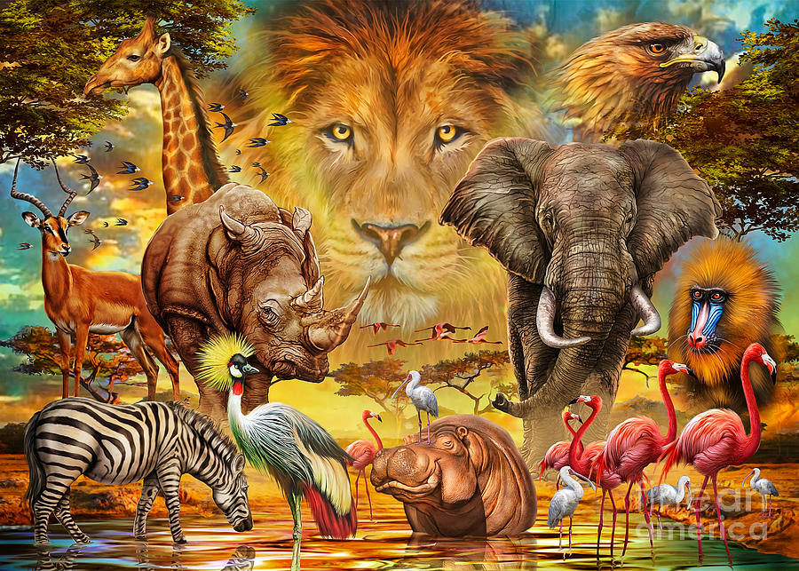 African Animals Collage Digital Art by MGL Meiklejohn Graphics Licensing -  Fine Art America