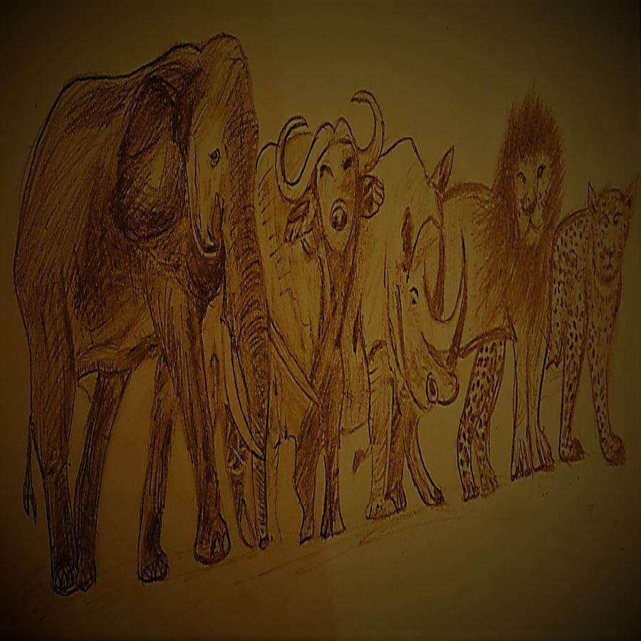 African animals Drawing by Rashi Barsaiyan Fine Art America