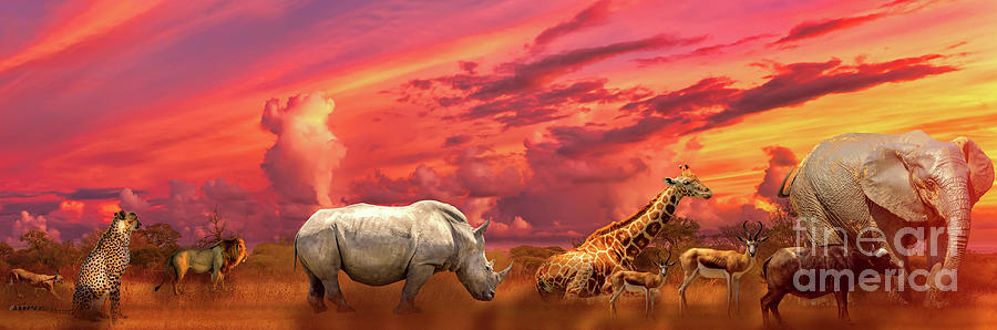 African animals sunset panorama Photograph by Benny Marty