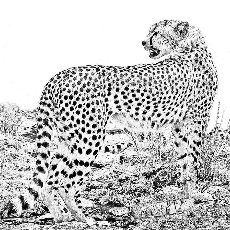 African Cheetah 1 Digital Art by Larry Linton