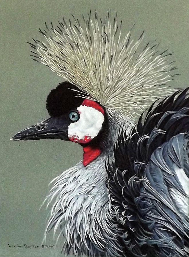 African Crowned Crane Painting by Linda Becker