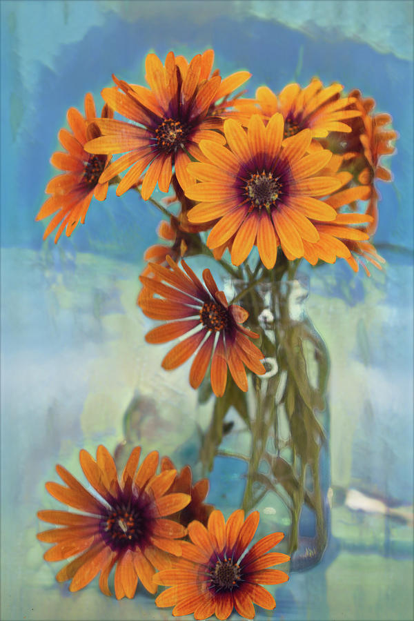 African Daisies in a Vase Photograph by Vanessa Thomas
