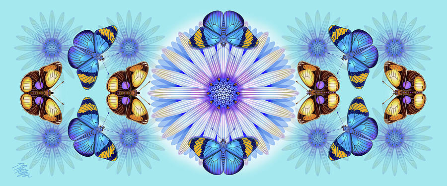 African Daisy and Butterfly Rotatable Nature Panel Digital Art by Tim Phelps