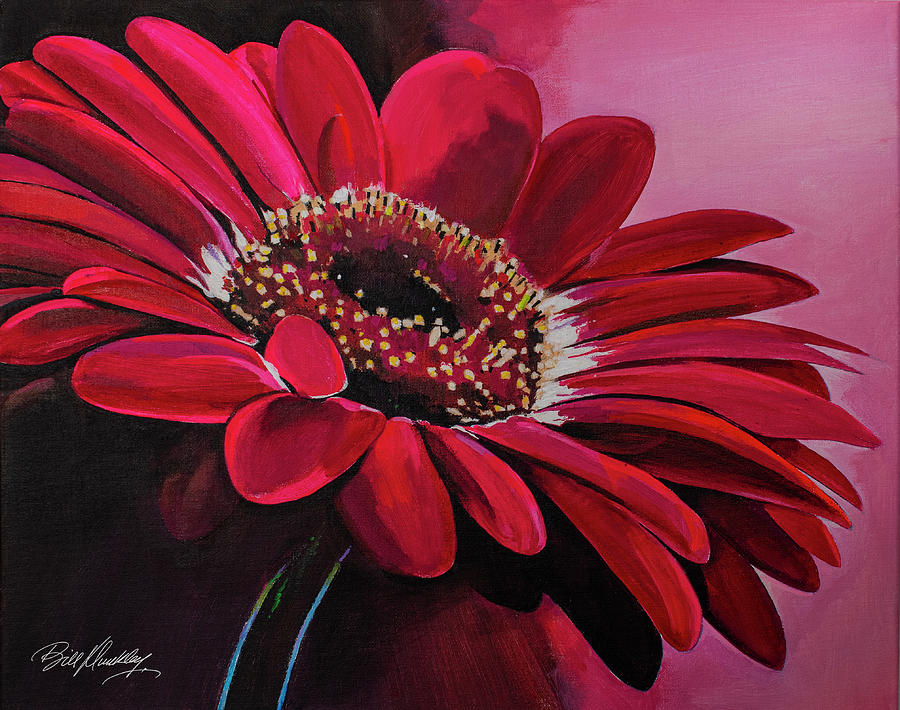 African Daisy Painting by Bill Dunkley
