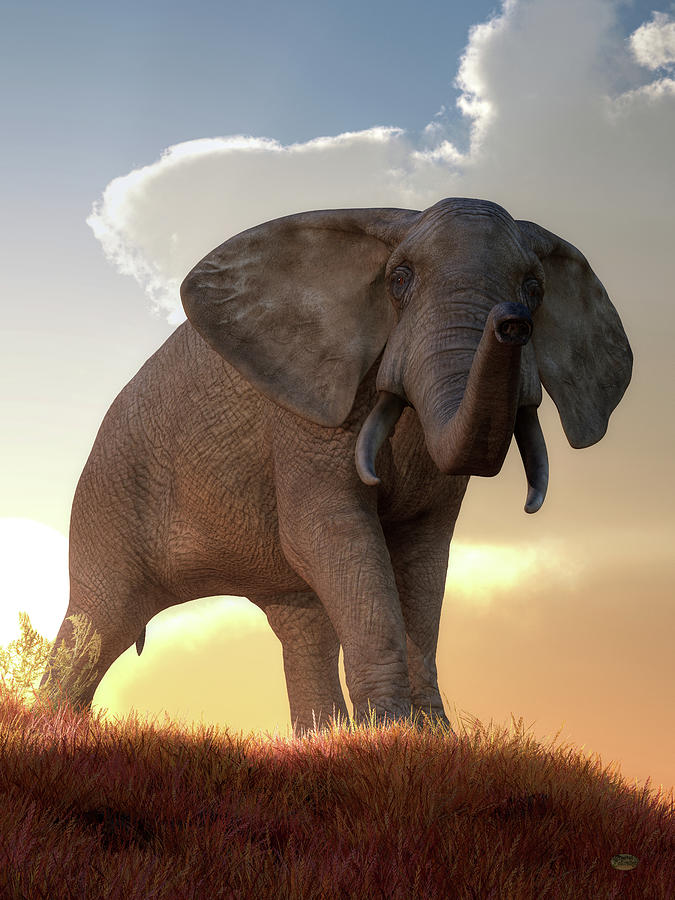 African Elephant at Sunrise Digital Art by Daniel Eskridge