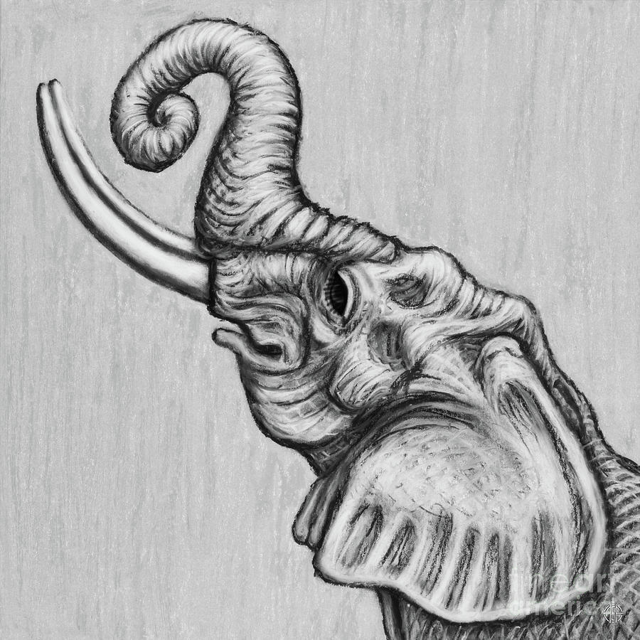 Sketch by pen african elephant front view Vector Image , #Sponsored, # african, #elephant, #Sketch, #pen… | Acuarela de elefante, Arte de  elefante, Animales acuarela