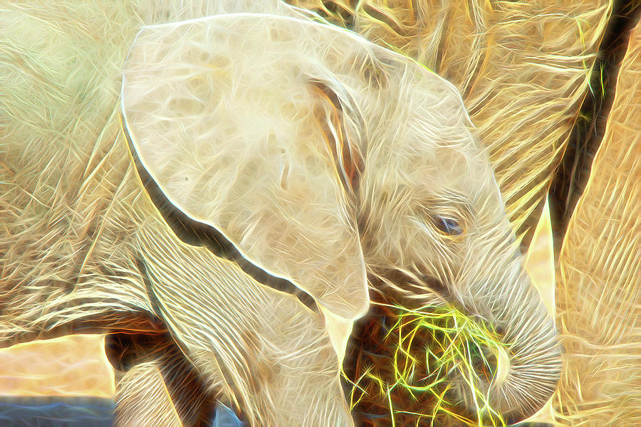 African Elephant Calf Digital Art Digital Art