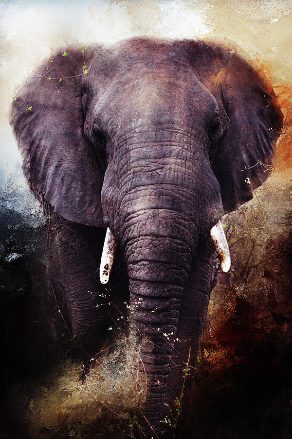 African elephant encounter Digital Art by Sue Masterson