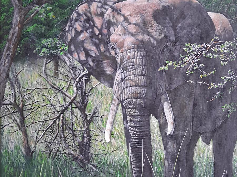 African Elephant Painting by John Neeve