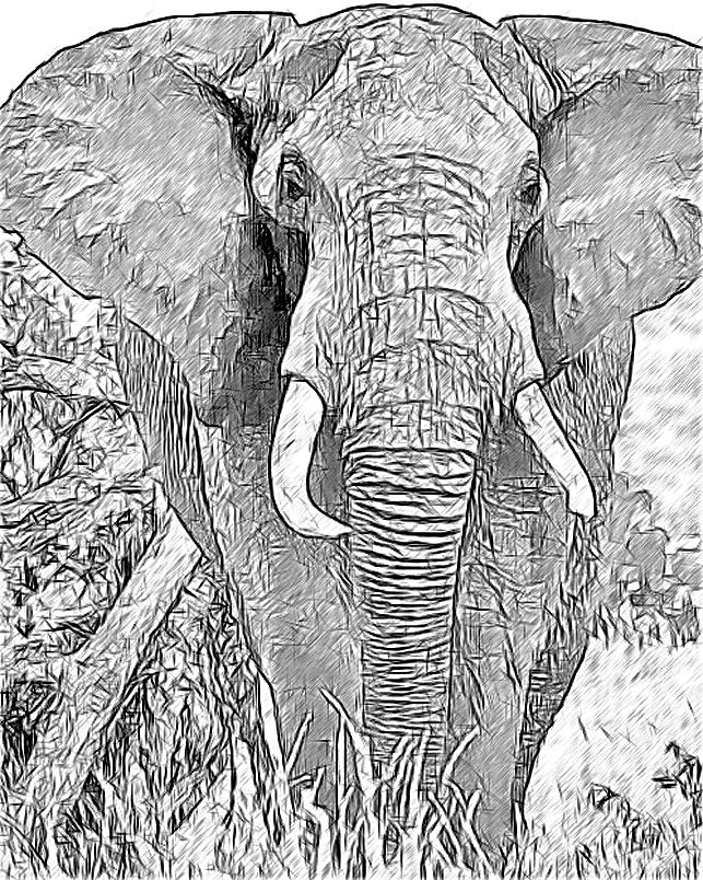 African Elephant  Digital Art by Larry Linton