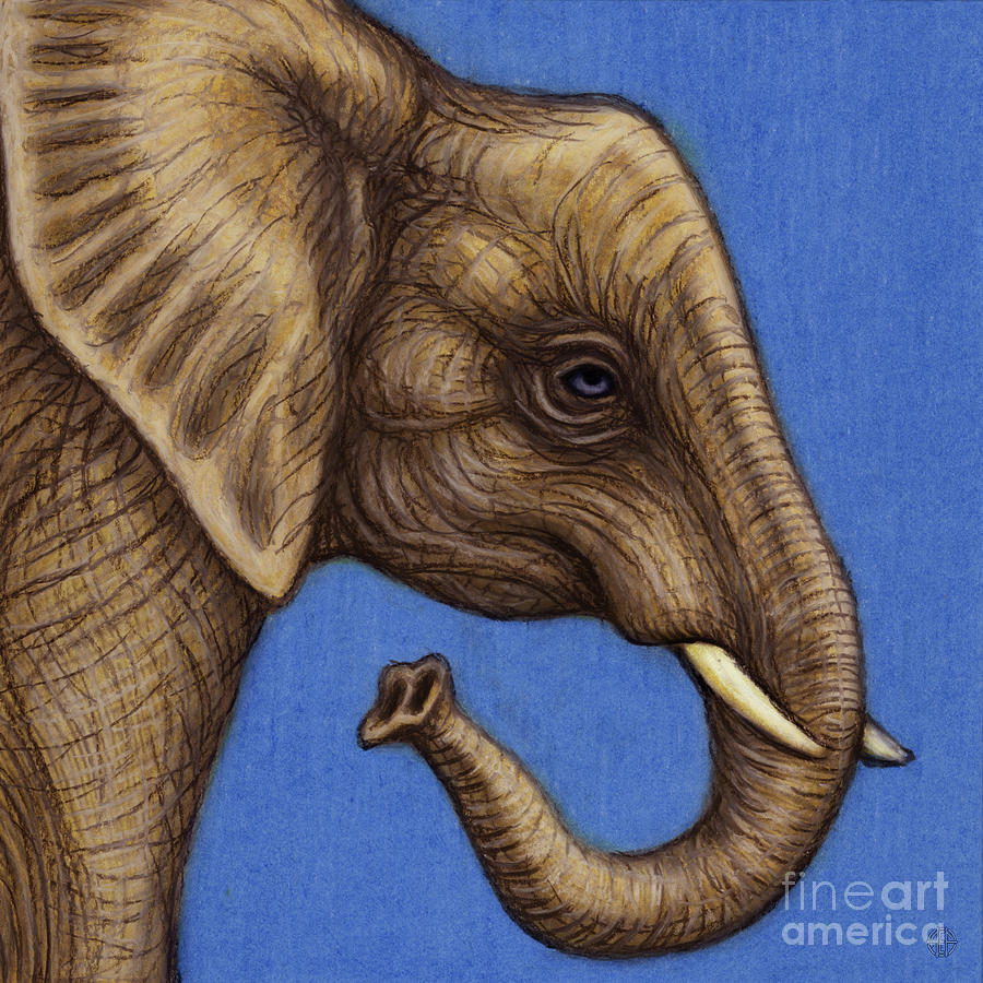 African Elephant Profile Painting by Amy E Fraser