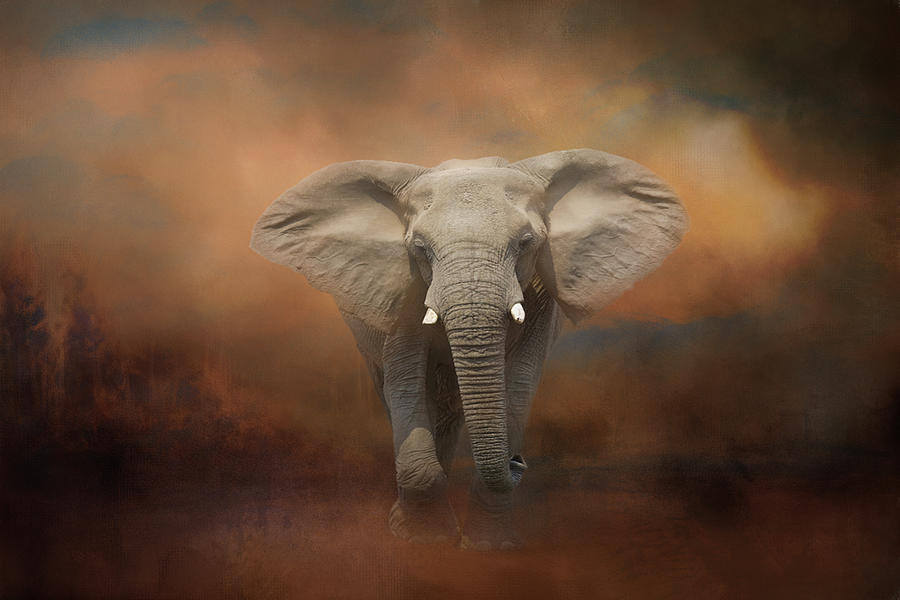 African Elephant Digital Art by Roy Pedersen