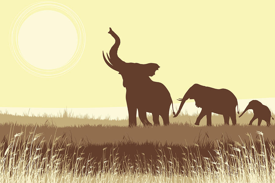 African Elephants in savanna Drawing by Chuvipro
