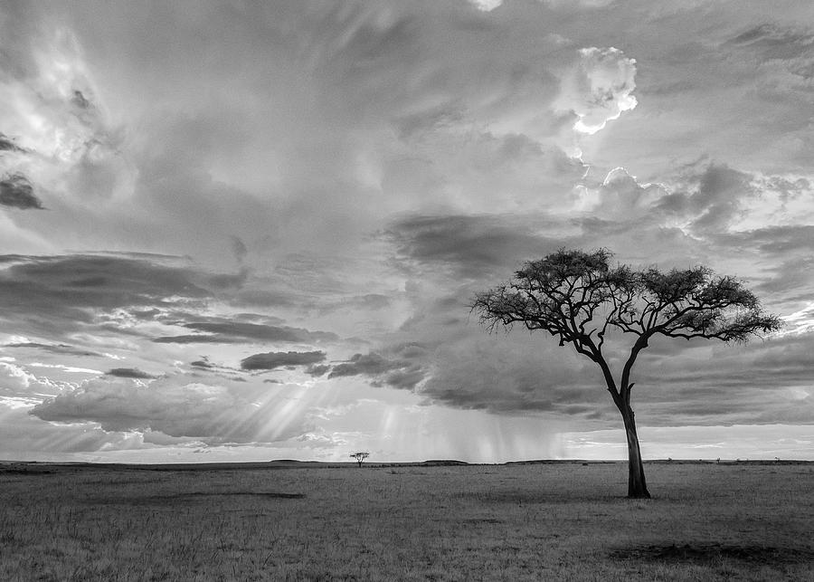 African grasslands infrared Photograph by Murray Rudd