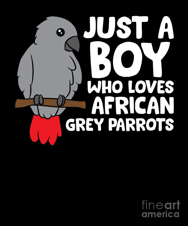 Parrot Digital Art - African Grey Boy Just a Boy Who Loves African Grey Parrots by EQ Designs